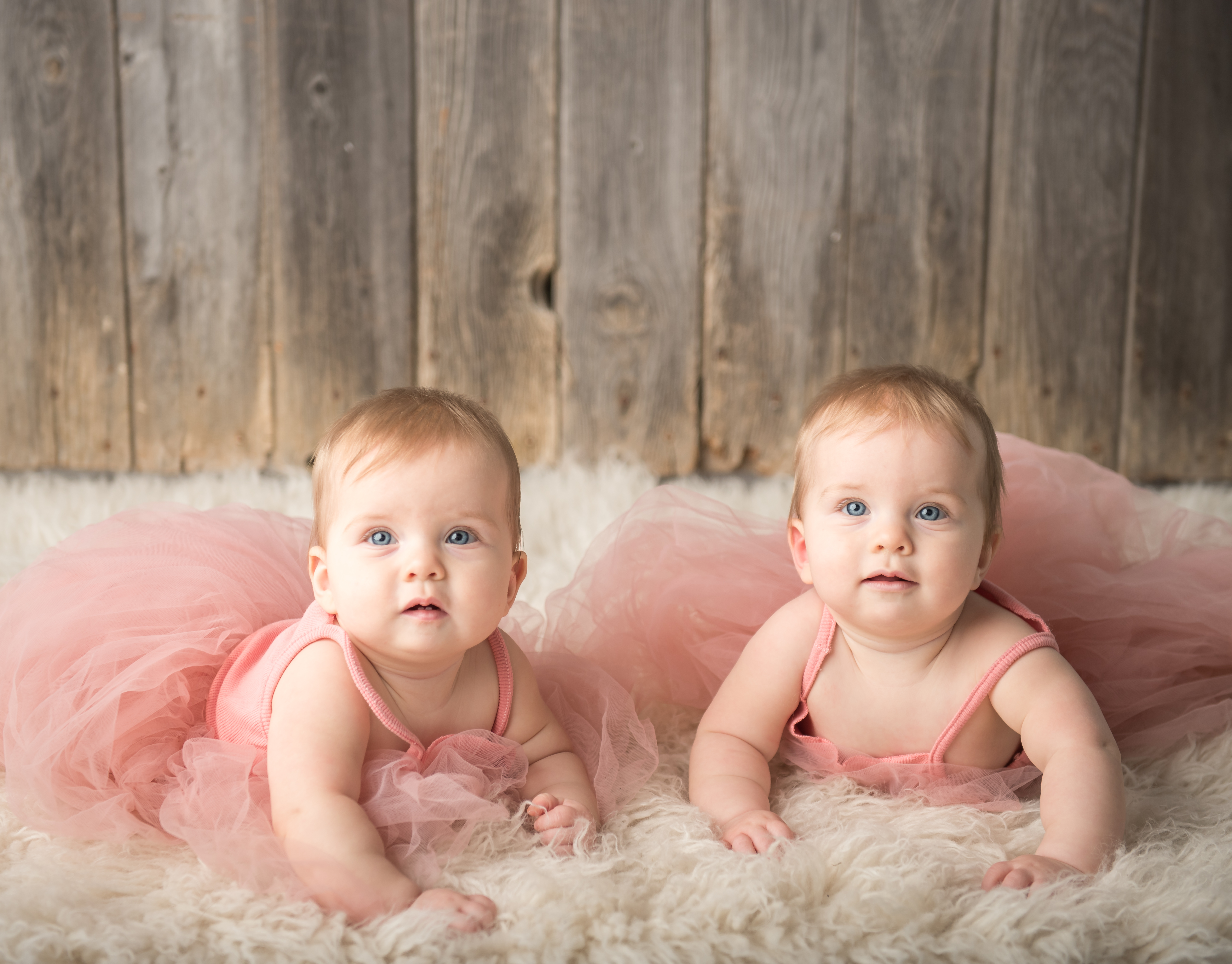 Twin six month old girls on bellies doing tummy time on a white rug as part of six month old baby session in the South Bend Culver, Indiana photography studio. 